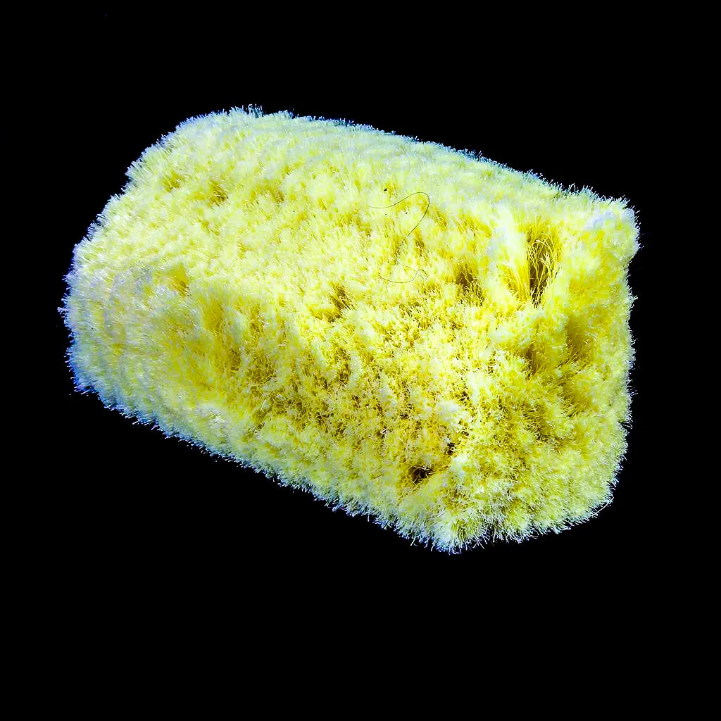 Cougar Yellow Wash Brush