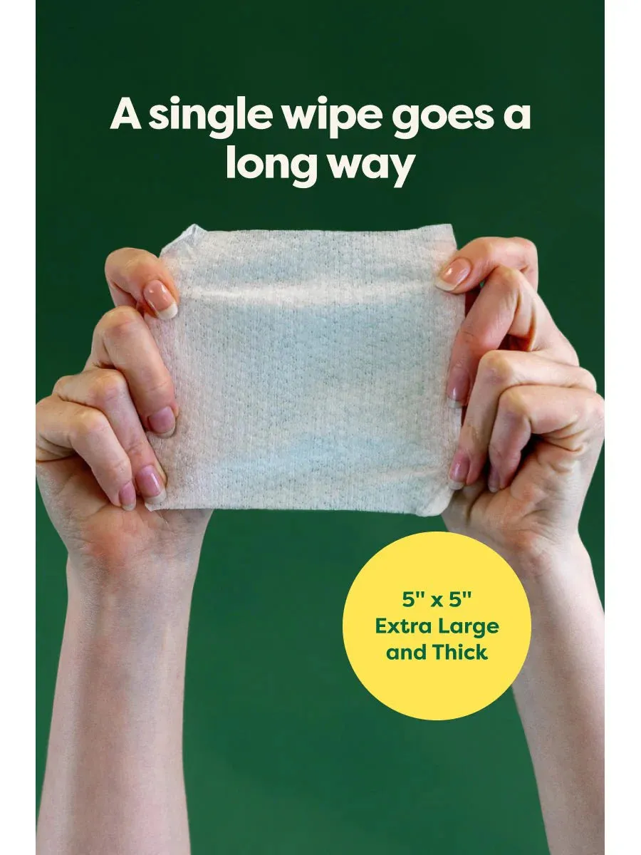 Earth Rated - Dog Ear Wipes