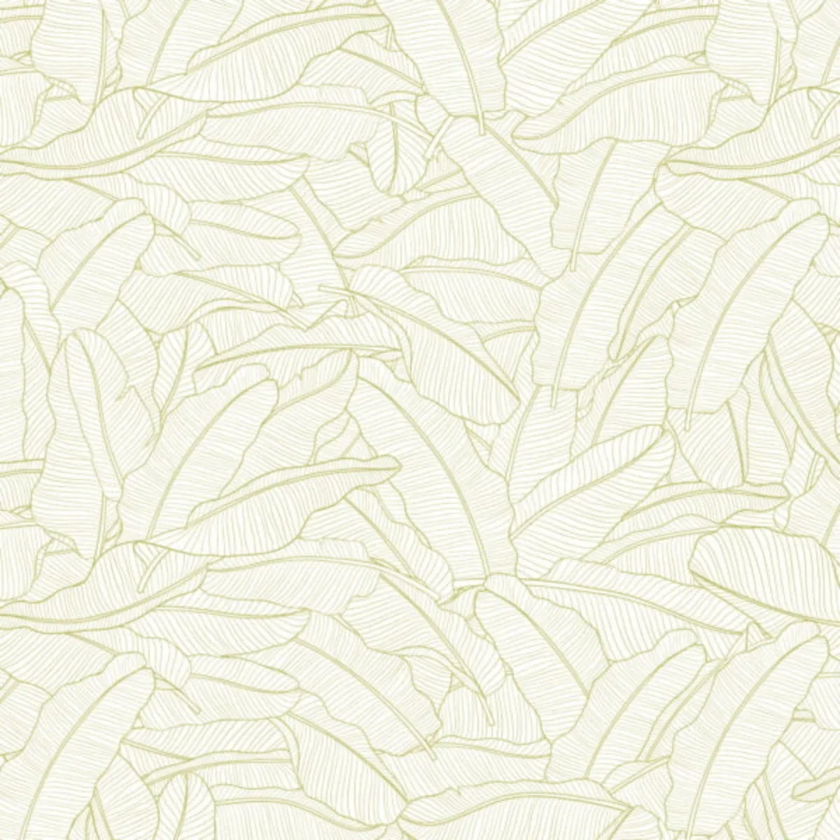 English Pear & Orchid Scented Drawer Liners