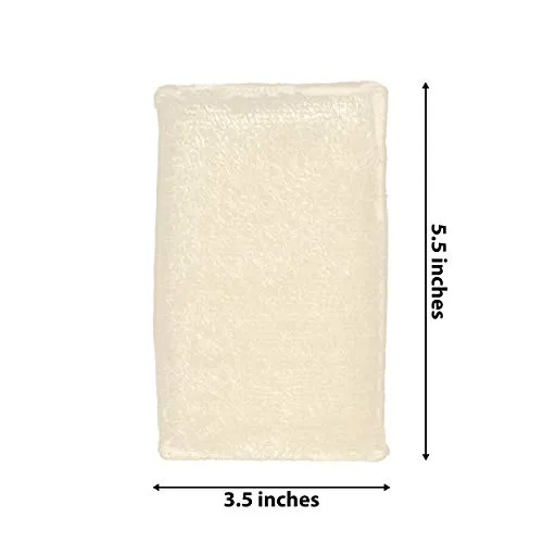 Evriholder Kitchen Sponges Super Absorbent 3pack