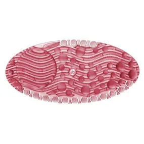 Fresh Remind Air Curve Air Fresheners
