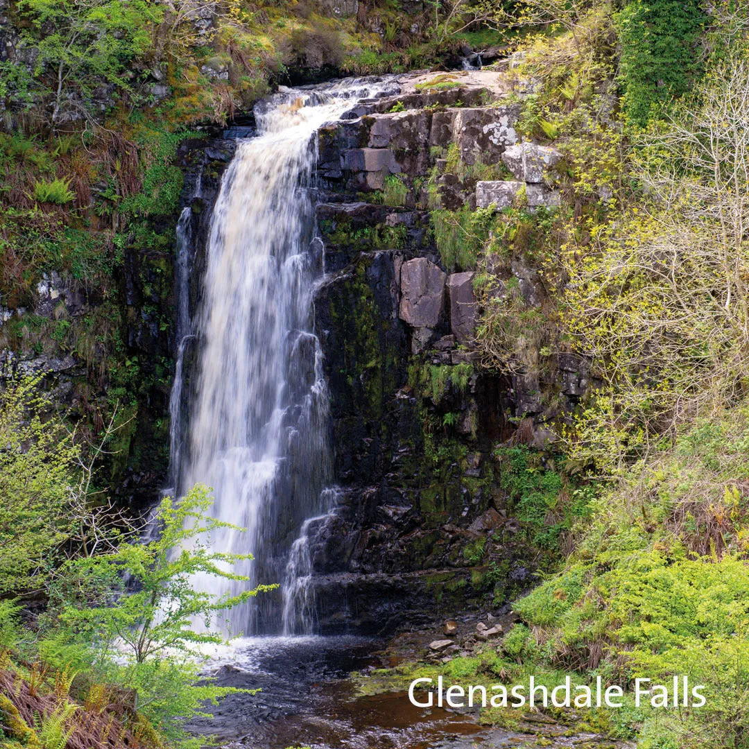Glenashdale Grapefruit Bath & Shower Gel