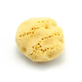 Mediterranean Natural Sea Silk Facial Sponge, 3"
