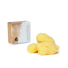 NATURAL INTIMACY Menstrual Sea Sponges - Bleached Medium (3 Pack)