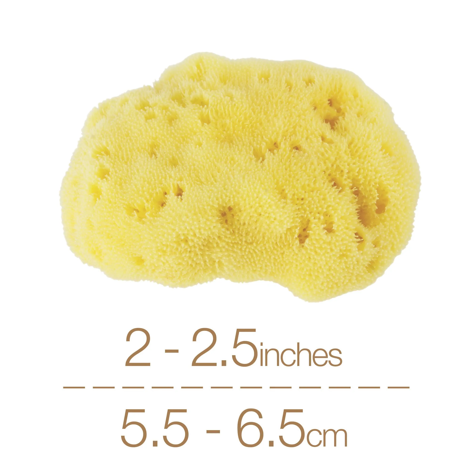 NATURAL INTIMACY Menstrual Sea Sponges - Bleached Medium (3 Pack)