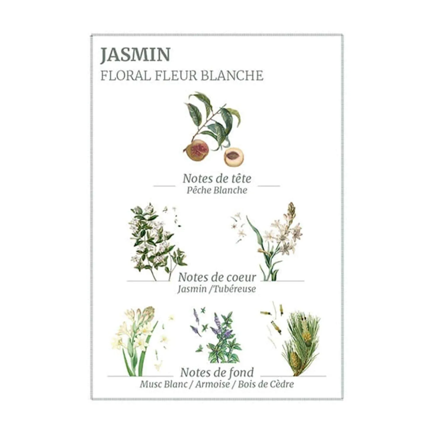 PANIER DES SENS - PRECIOUS JASMINE HAND & BODY WASH