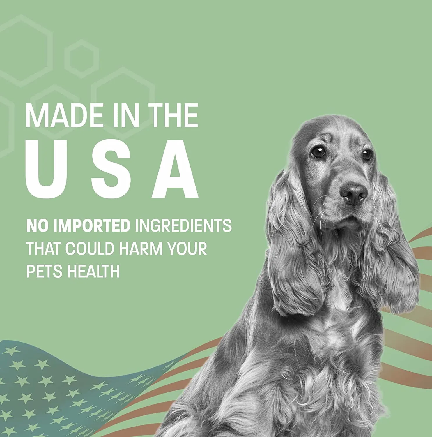 Pet Health Pros; Dental Wipes for Dogs & Cats; Fresh Breath, Plaque Removal, Tartar Control; Pack of 50, Mint Scented