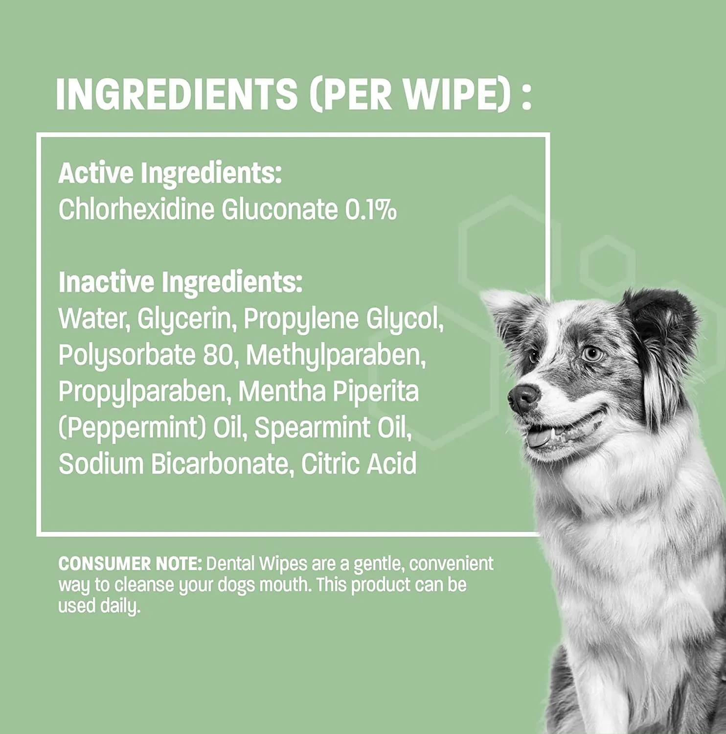 Pet Health Pros; Dental Wipes for Dogs & Cats; Fresh Breath, Plaque Removal, Tartar Control; Pack of 50, Mint Scented