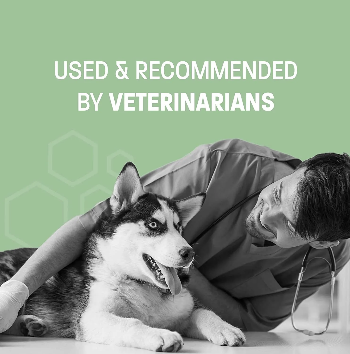 Pet Health Pros; Dental Wipes for Dogs & Cats; Fresh Breath, Plaque Removal, Tartar Control; Pack of 50, Mint Scented