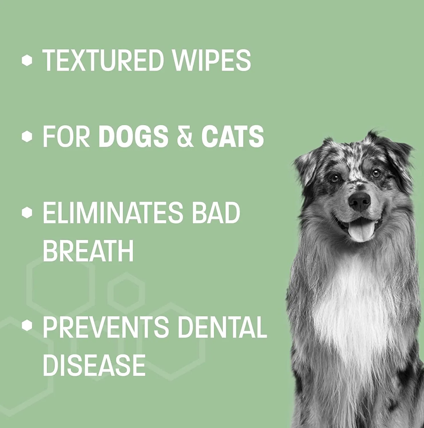 Pet Health Pros; Dental Wipes for Dogs & Cats; Fresh Breath, Plaque Removal, Tartar Control; Pack of 50, Mint Scented