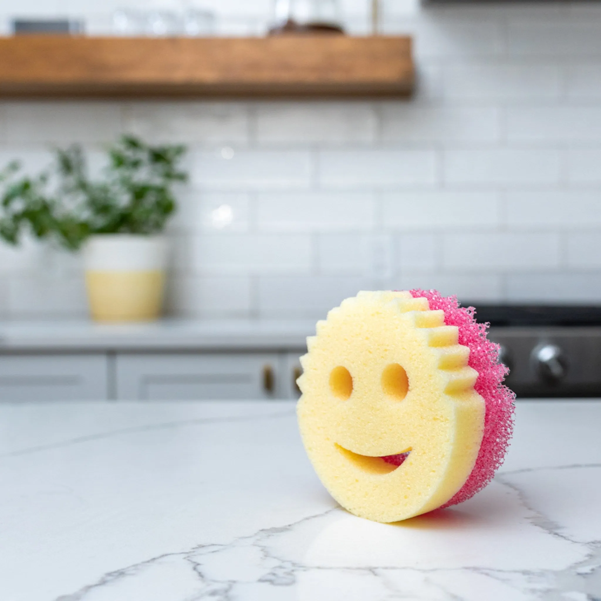 Scrub Daddy Mommy Sponge Random Delivery, Set of 3 - Sponge - 🏆 #92 - Kitchen Essentials - Best of December
