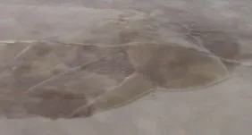Sealer Stripper