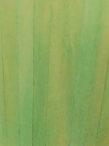 Stain - Pale  Green - Weathering Mix