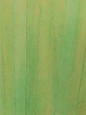 Stain - Pale  Green - Weathering Mix